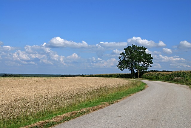 krásná příroda